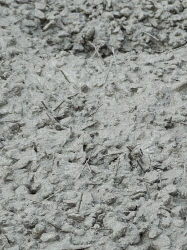 RePoly + Earthwise by Outwest Concrete